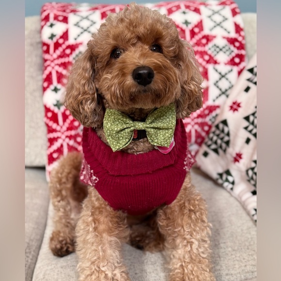 Meet your Posher, Cay - Picture 1 of 3